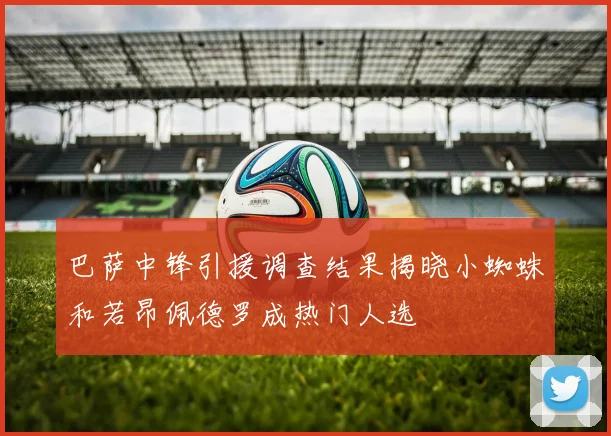 巴萨中锋引援调查结果揭晓小蜘蛛和若昂佩德罗成热门人选