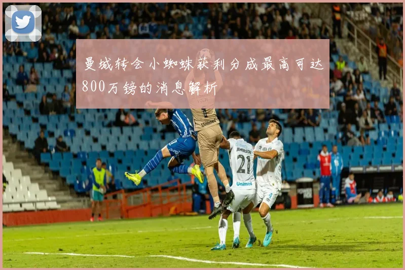 曼城转会小蜘蛛获利分成最高可达800万镑的消息解析